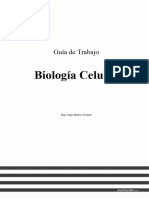 Plantilla Guia de Laboratorio Biología Celular 2024 - L 2