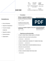 CV Développeur Informatique Moderne Blanc