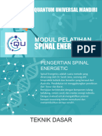 Spinal Energetics