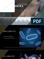 Aula IV - Núcleo, DNA e Cromossomos Biomed
