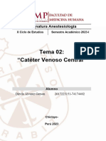 Informe 02 - Catéter Venoso Central 