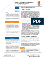 PDF de Estratificación Social