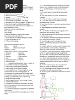 Neonatal Skin Risk Assessment Scale | PDF | Infants | Medical Specialties