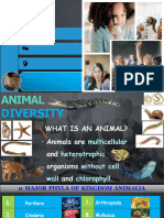 Animal Diversity Basics