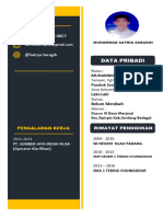 CV Kerja 2