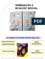 Determinação e Diferenciação Sexual (2021)