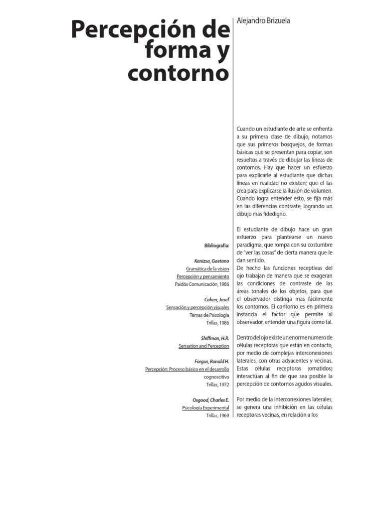 Percepcion Visual Pdf