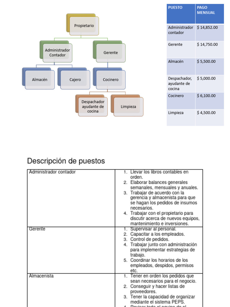 Organigrama y Descripción de Puestos | PDF | Business | Economias