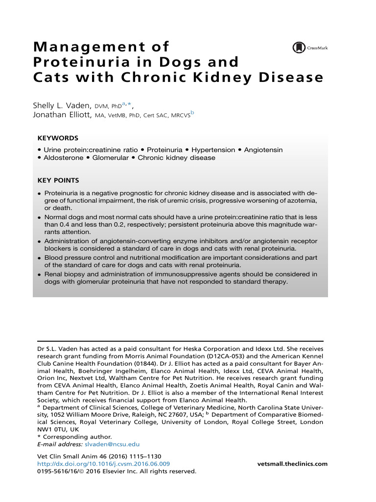 Management of Proteinuria in Dogs | PDF | Angiotensin | Chronic Kidney ...