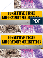 Lab Orientation - Connective Tissue - FINAL