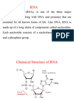 Bio 3