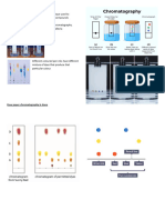 Paper Chromatography