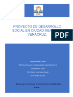 Proyecto Social