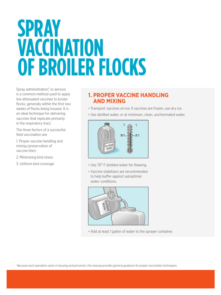 Spray Vaccination of Broiler Flocks Guide | PDF