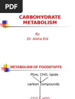 Download Carbohydrate Metabolism by api-3826907 SN7148017 doc pdf