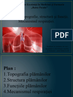 Plămânii 2018