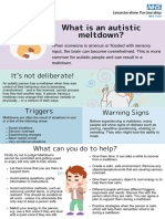 Meltdowns Poster