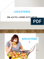 Kolesterol Slide