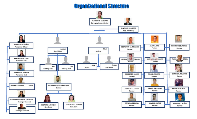 Organizational Chart | PDF
