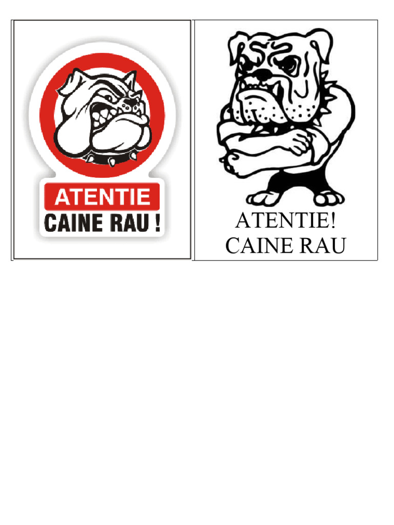 Caine Rau | PDF