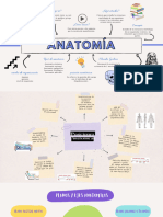 Actividad Complementaria 1 Antomia