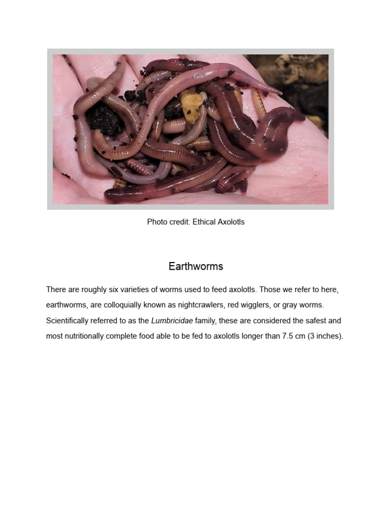 Axolotl Nutrition, Axolotl Central | PDF | Science & Mathematics