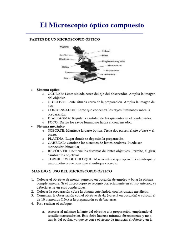 El Microscopio Óptico Compuesto | PDF | Lente de la cámara | Óptica
