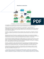 Ciclo do nitrogênio e metabolismo de aminoácidos