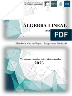 Algebra Lineal 2023 Edición Renovada