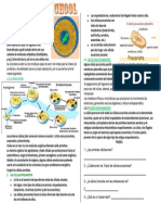 Citologia Ii