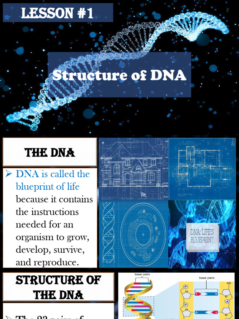 Inbound 7566052277502101534 | PDF | Dna | Rna
