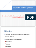 Cellular Adaptation - 2022