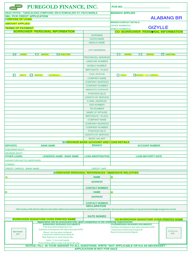 Pfi New App Form | Download Free PDF | Loans | Credit