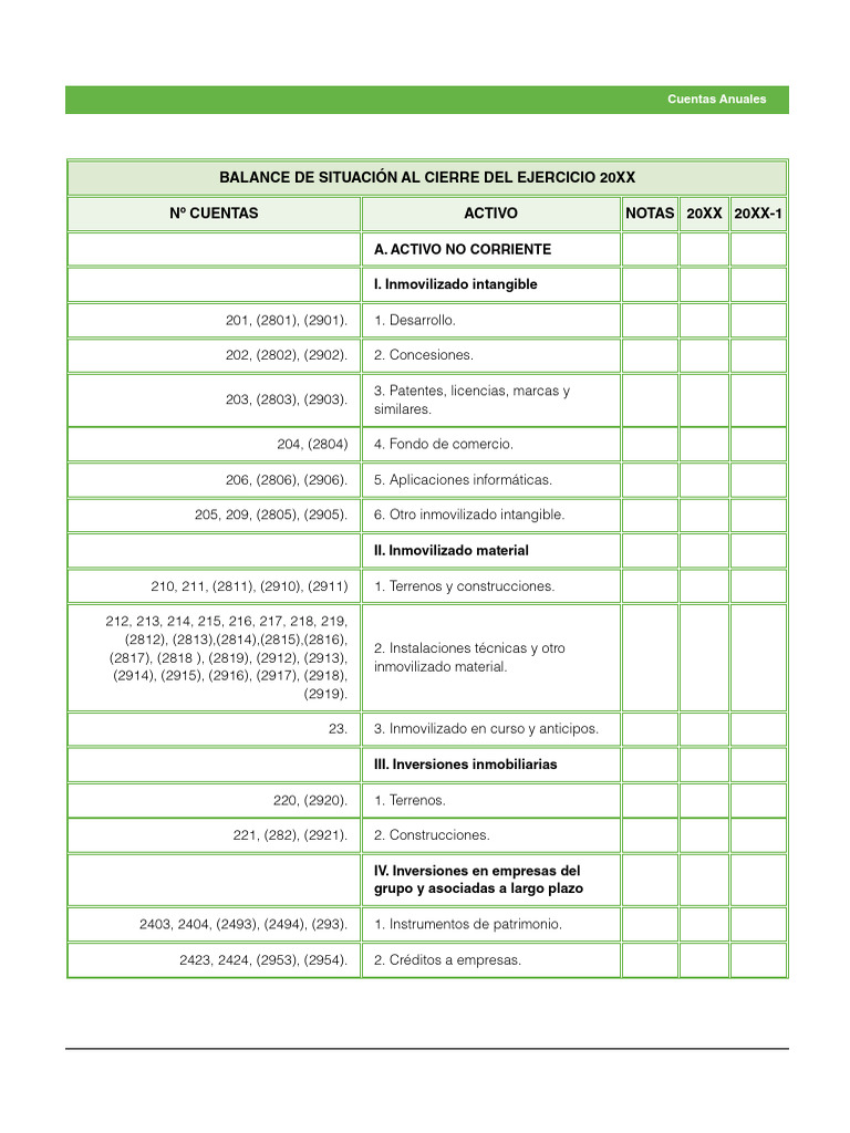 Balance de Situación 20XX | PDF | Hoja de balance | Valor neto