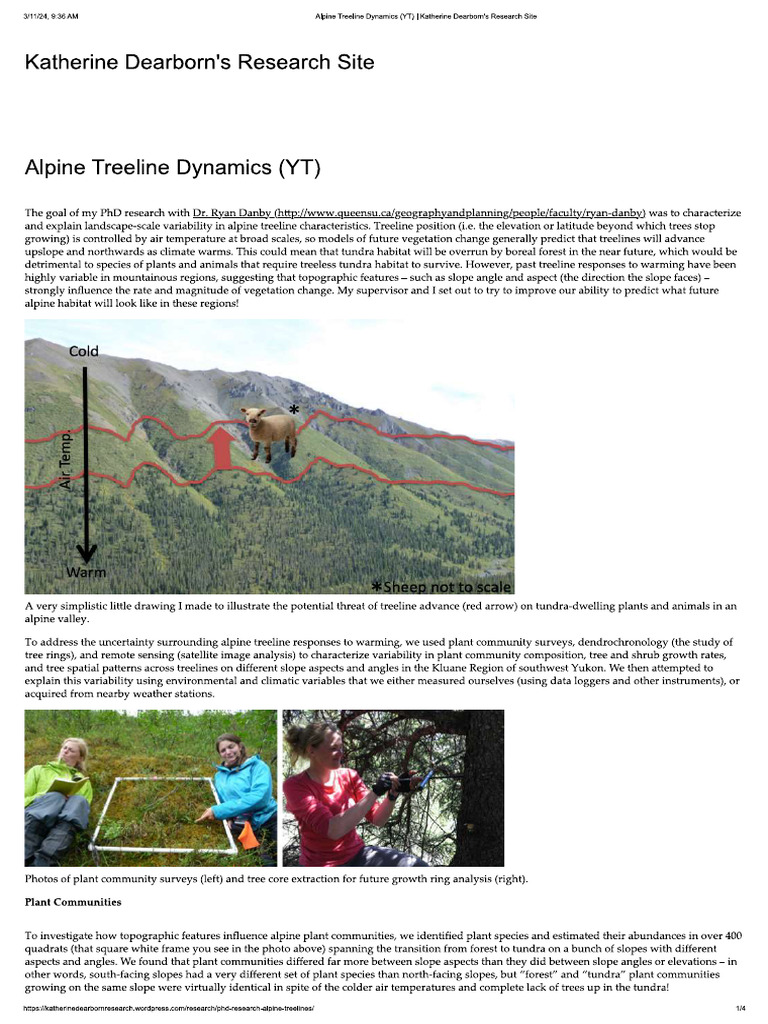 Treeline Research Paper | PDF