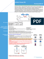 DPHH Protocol