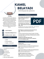 Blue Professional Modern CV Resume_4