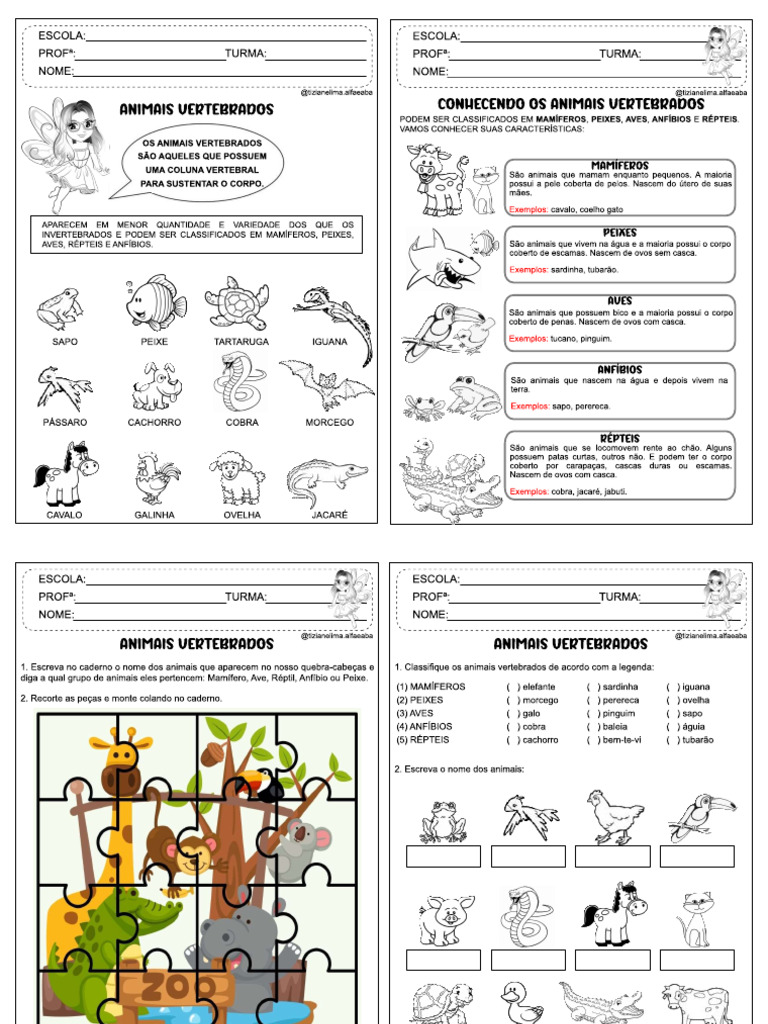 Animais Vertebrados e Invertebrados 2º e 3º Ano @Tizianelima.alfaeaba | PDF