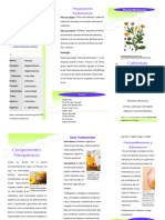 Folleto Optativa PDF