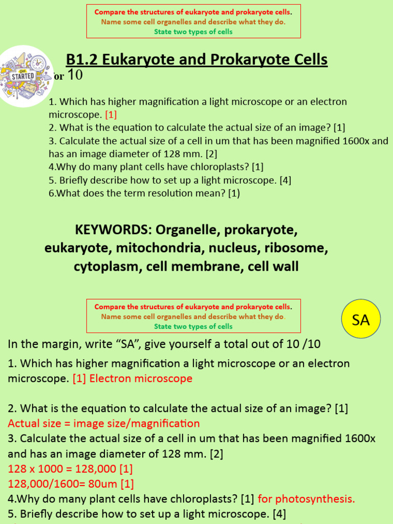B1.3 Eukaryote and Prokaryote Cells | PDF | Cell (Biology) | Prokaryote