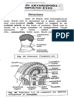 Vision in Arthropoda