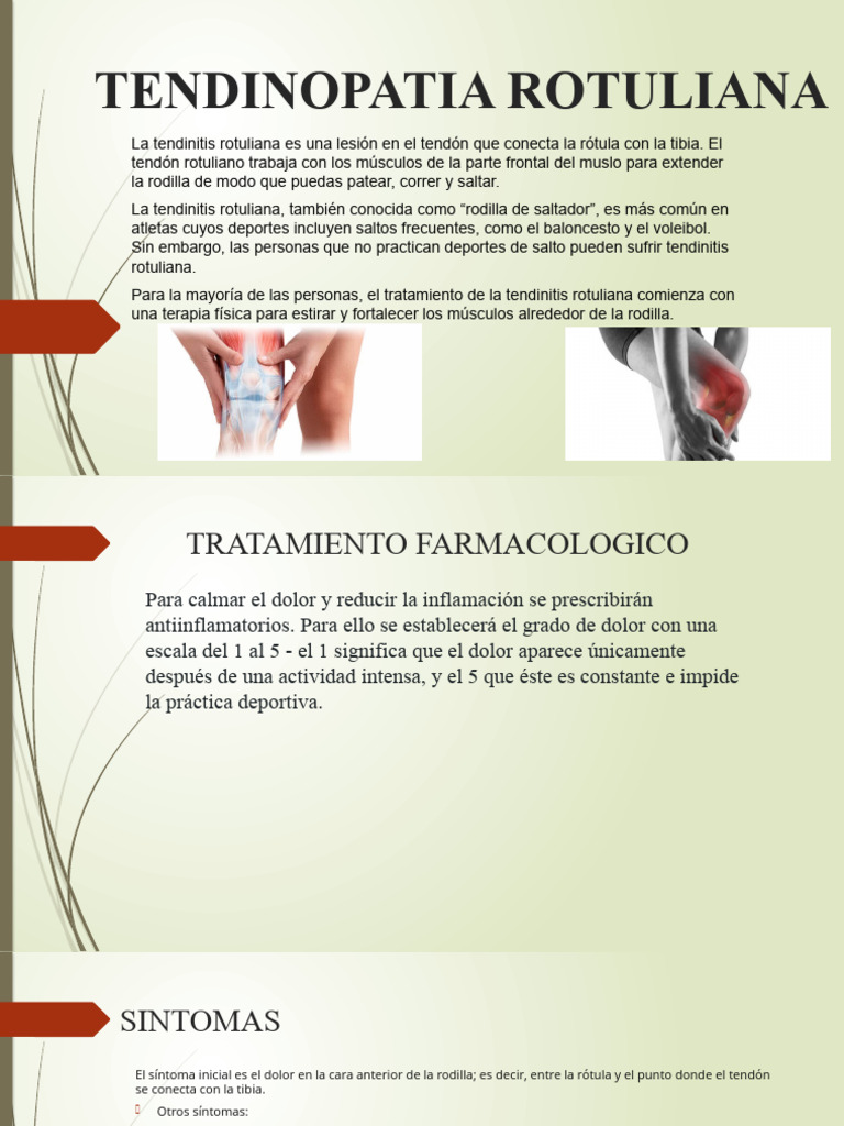 Tratamiento de la Tendinitis Rotuliana | PDF | Rodilla | Tendón