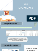SAE Mr. Propre