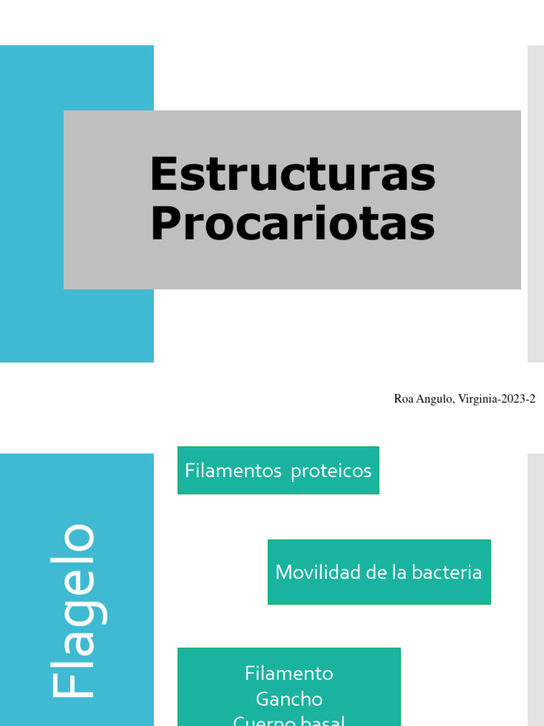 Estructuras y funciones de procariotas | PDF | Espora | Las bacterias