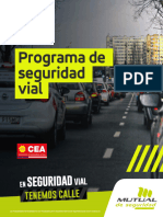 01 Programa Seguridad Vial v2