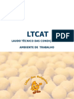 Ltcat Lider Dos Salgados