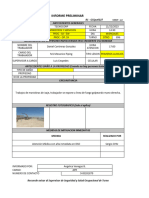 Informe Preliminar