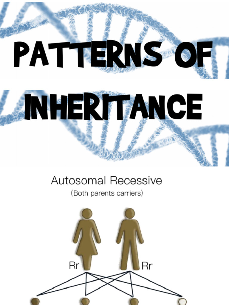Patterns of Inheritance | PDF | Genetic Disorder | Genetics