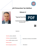 DR - Serhat Erbayraktar-Spinal Kord Basilari