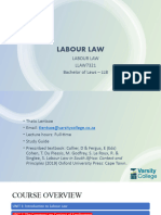 Session 4 - Learning Unit 2 (The Common Law Contract of Employment)